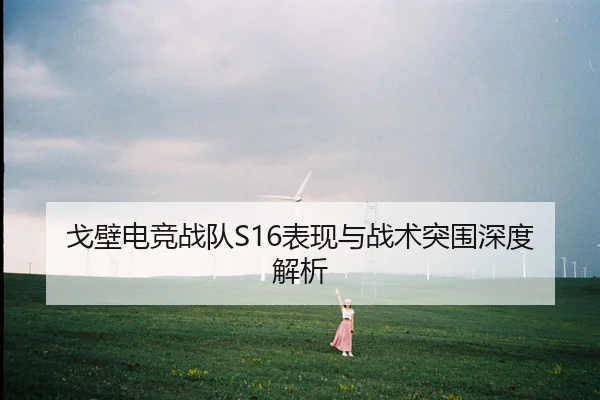 戈壁电竞战队S16表现与战术突围深度解析